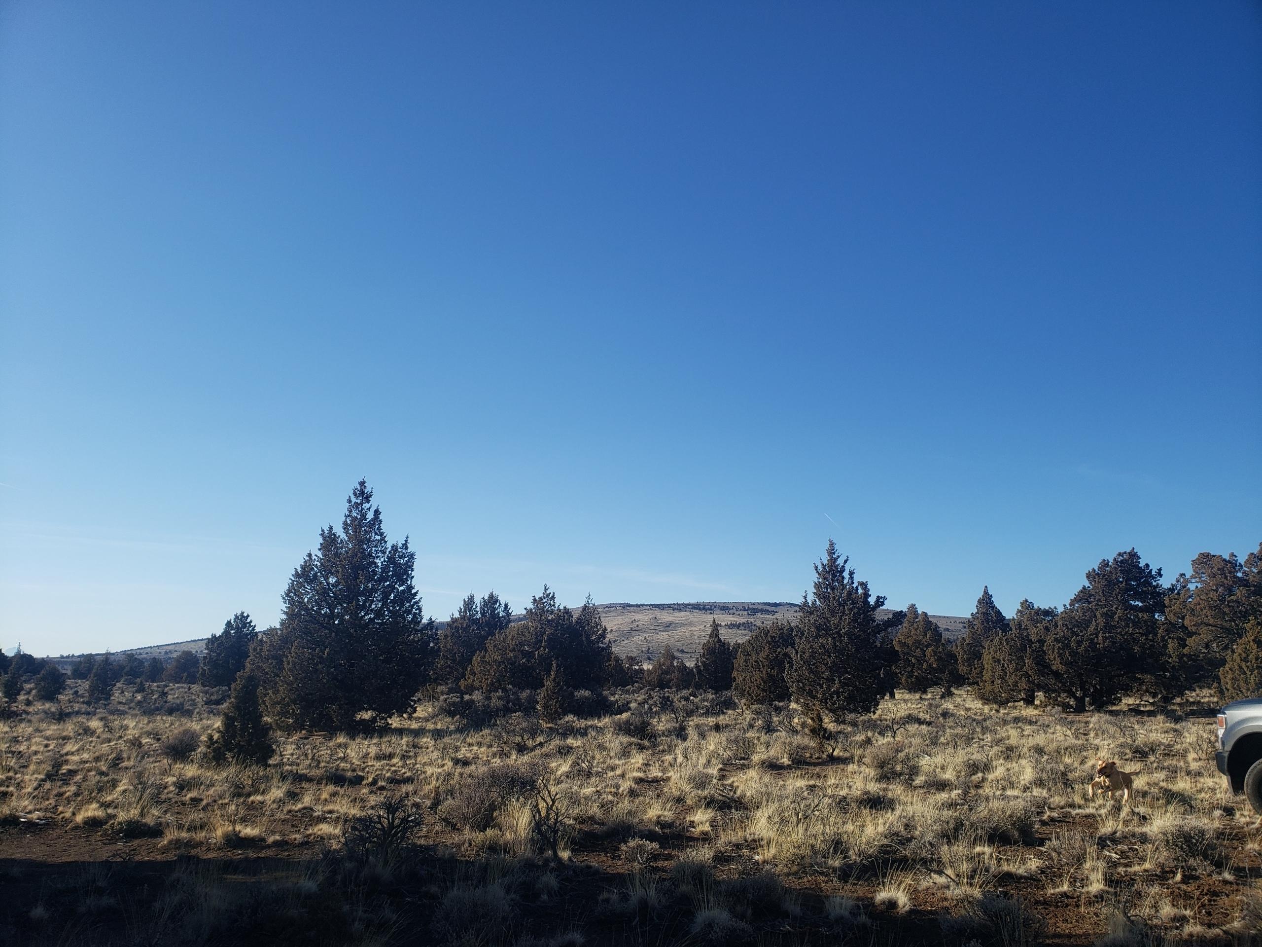 3700 Golden View Ranch Bend Bend, OR 97701 - Photo 12 of 15 view of west butte
