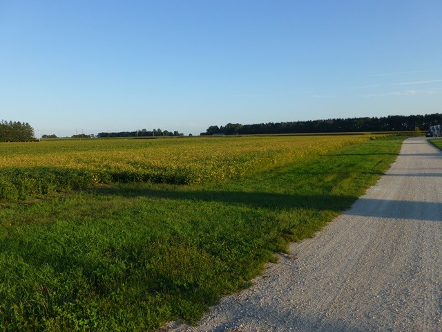 11409 East Flagg Road Rochelle, IL 61068 - Photo 1 of 24 a view of a lake with a big yard