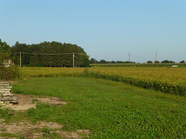 11409 East Flagg Road Rochelle, IL 61068 - Photo 15 of 24 a view of a grassy field