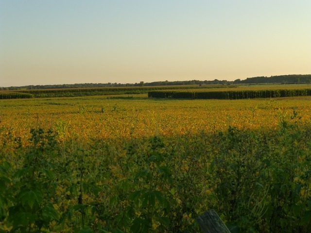 11409 East Flagg Road Rochelle, IL 61068 - Photo 18 of 24 a view of an ocean from a balcony