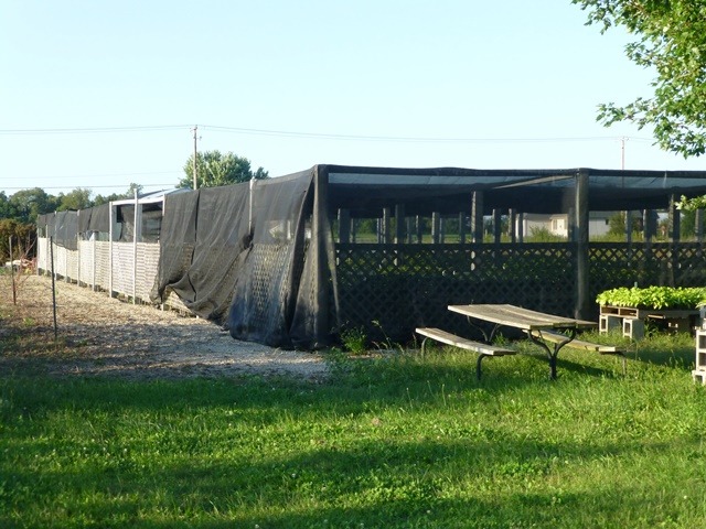 11409 East Flagg Road Rochelle, IL 61068 - Photo 10 of 24 a view of a backyard with plants and a patio