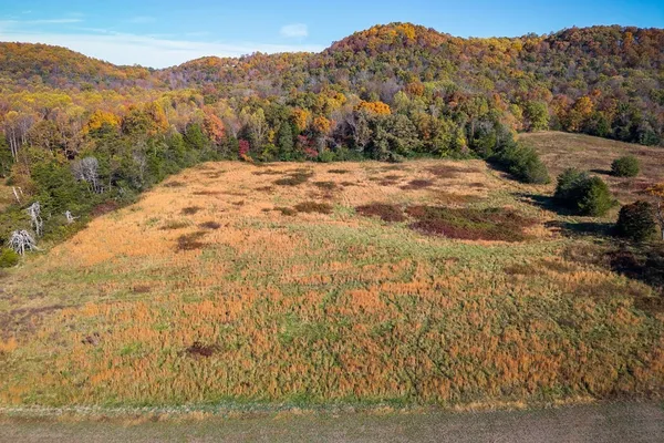 a view of a dry yard with mountains in the background