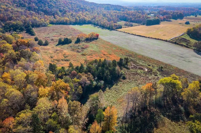 a view of a lake with mountains in the background