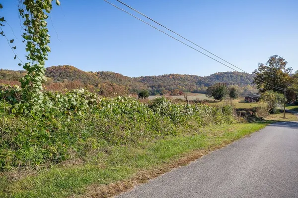 a view of a yard with a tree