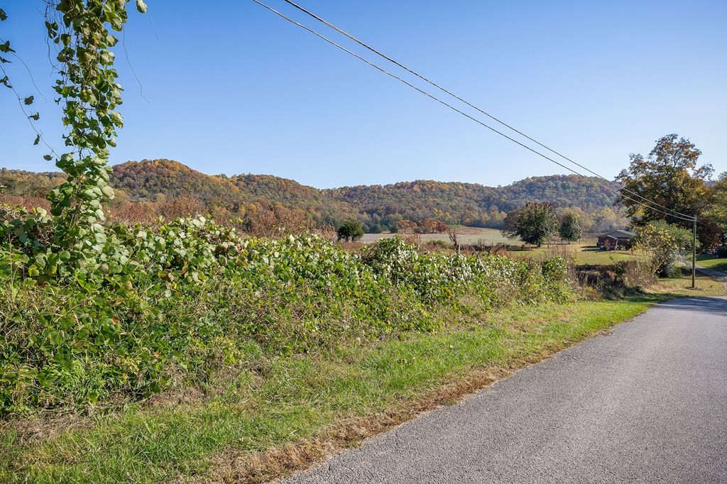 0 Webbs Camp Road Walling, TN 38587 - Photo 20 of 20 a view of a yard with a tree