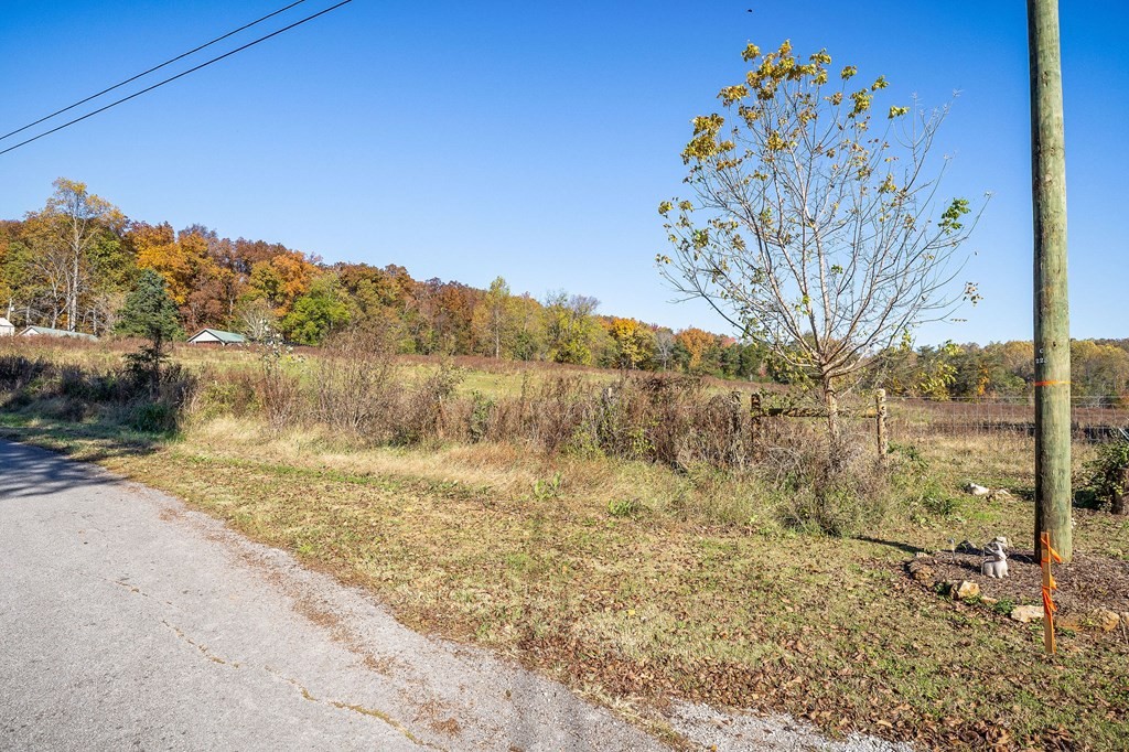 0 Webbs Camp Road Walling, TN 38587 - Photo 3 of 20 a view of a dry yard with wooden fence