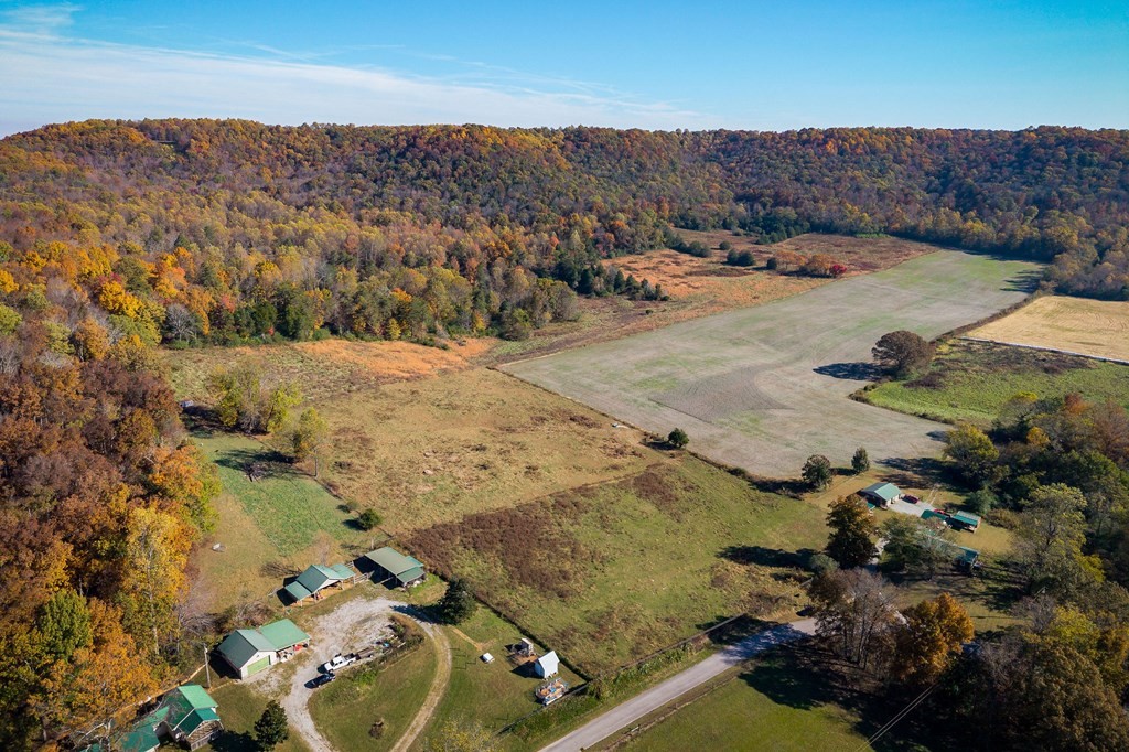 0 Webbs Camp Road Walling, TN 38587 - Photo 5 of 20 a view of a backyard of a house
