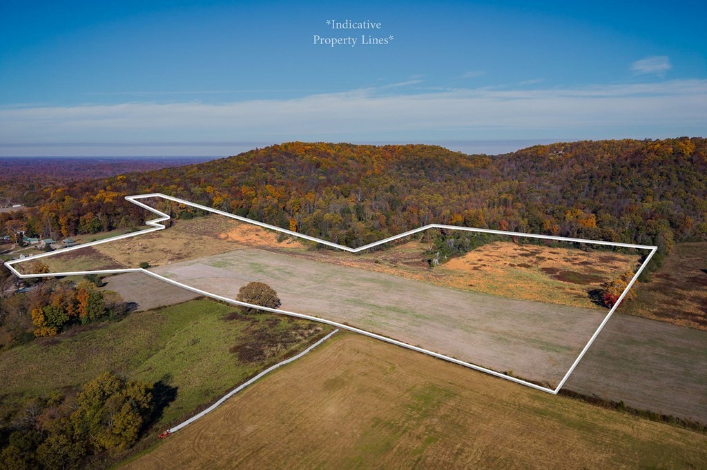 0 Webbs Camp Road Walling, TN 38587 - Photo 7 of 20 a view of a backyard
