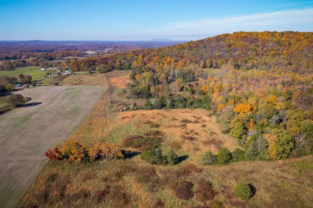 a view of a mountain