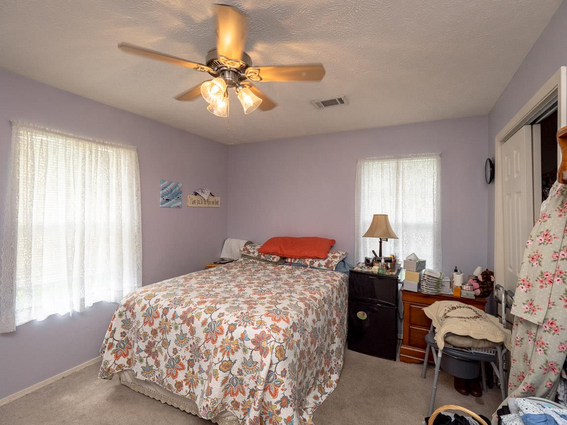 373 Canoe Branch Road Castalian Springs, TN 37031 - Photo 8 of 22 Gallery Image 8