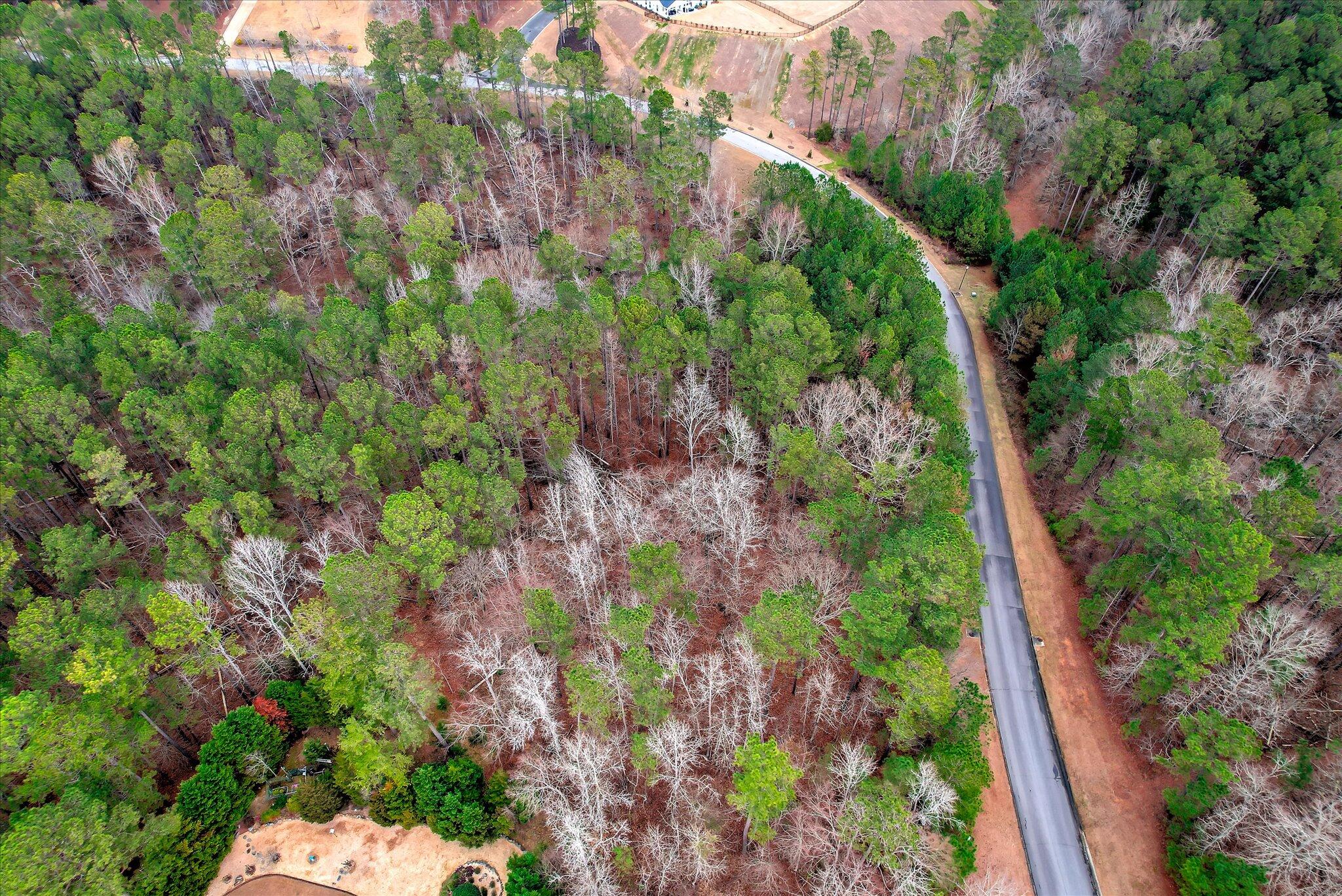 Lot K-18 Lot K-18 Collin Reeds Road Edgefield, SC 29824 - Photo 12 of 24