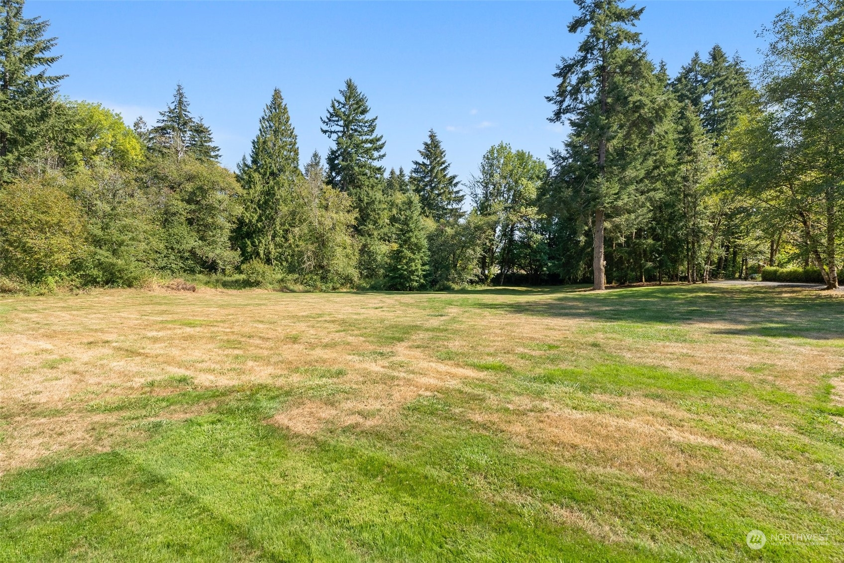 1028 King Road Winlock, WA 98596 - Photo 31 of 38 a view of a green field with lots of trees in the background