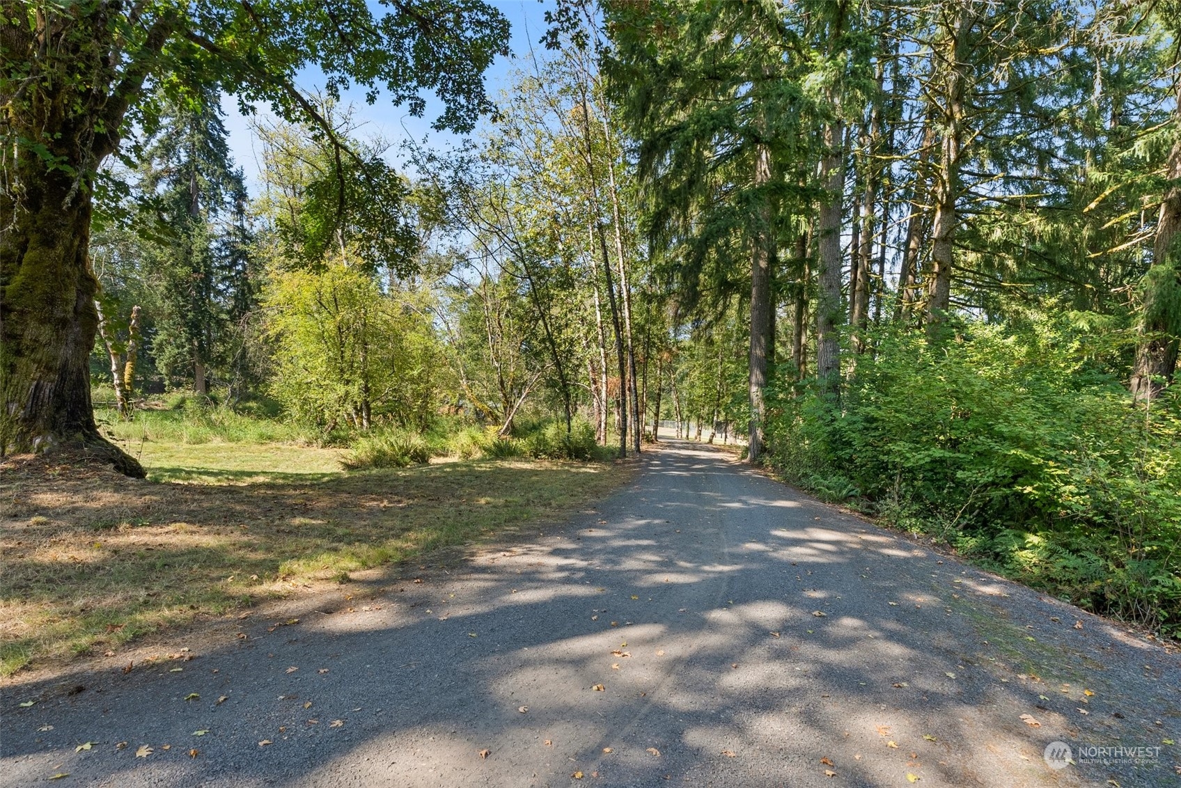 1028 King Road Winlock, WA 98596 - Photo 38 of 38 a view of a yard with a tree