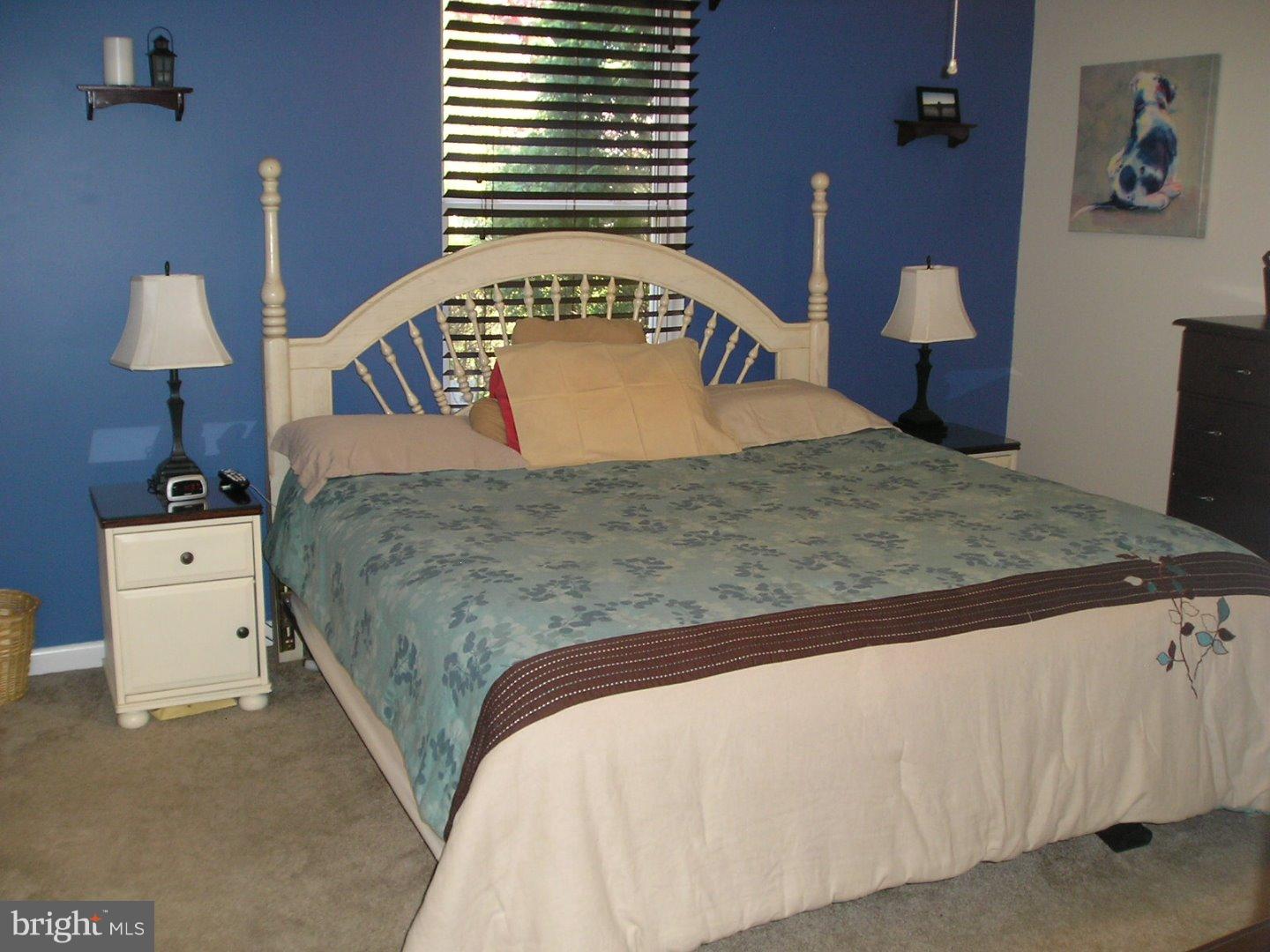 180 Middle Road Dublin, PA 18917 - Photo 7 of 18 Master Bedroom