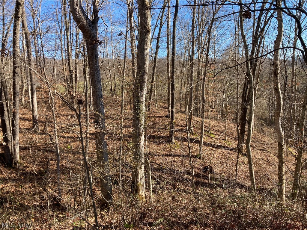 26 State Route New Matamoras, OH 45767 - Photo 29 of 34 Gallery Image 29