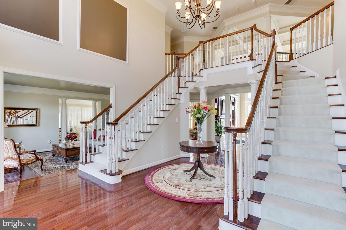 3703 Waterford Mill Road Bowie, MD 20721 - Photo 10 of 102 Gallery Image 10