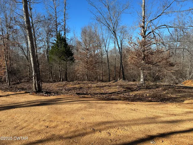 a view of a backyard of the house