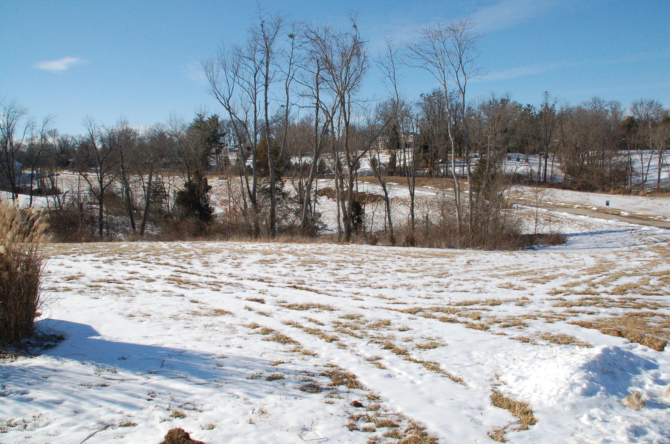 6711 Regal Road Louisville, KY 40222 - Photo 19 of 20 2014. Upper side of lot, looking down Regal Road