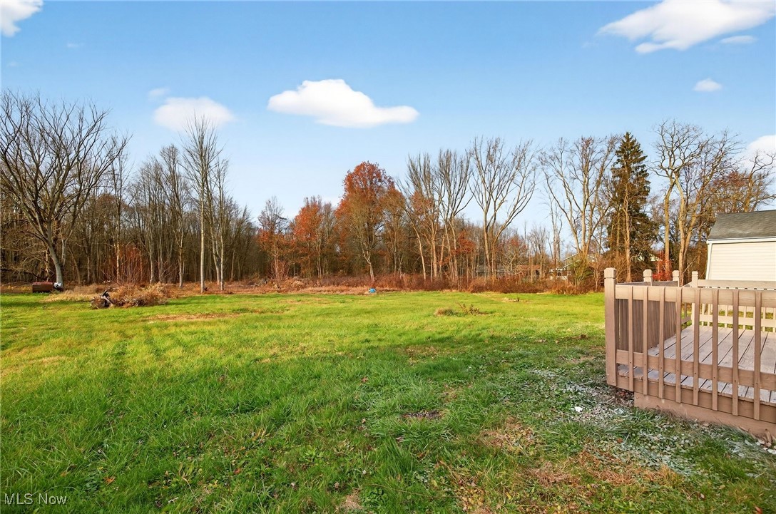4960 Palmyra Road Southwest Warren, OH 44481 - Photo 41 of 41 View of green lawn with a view of trees