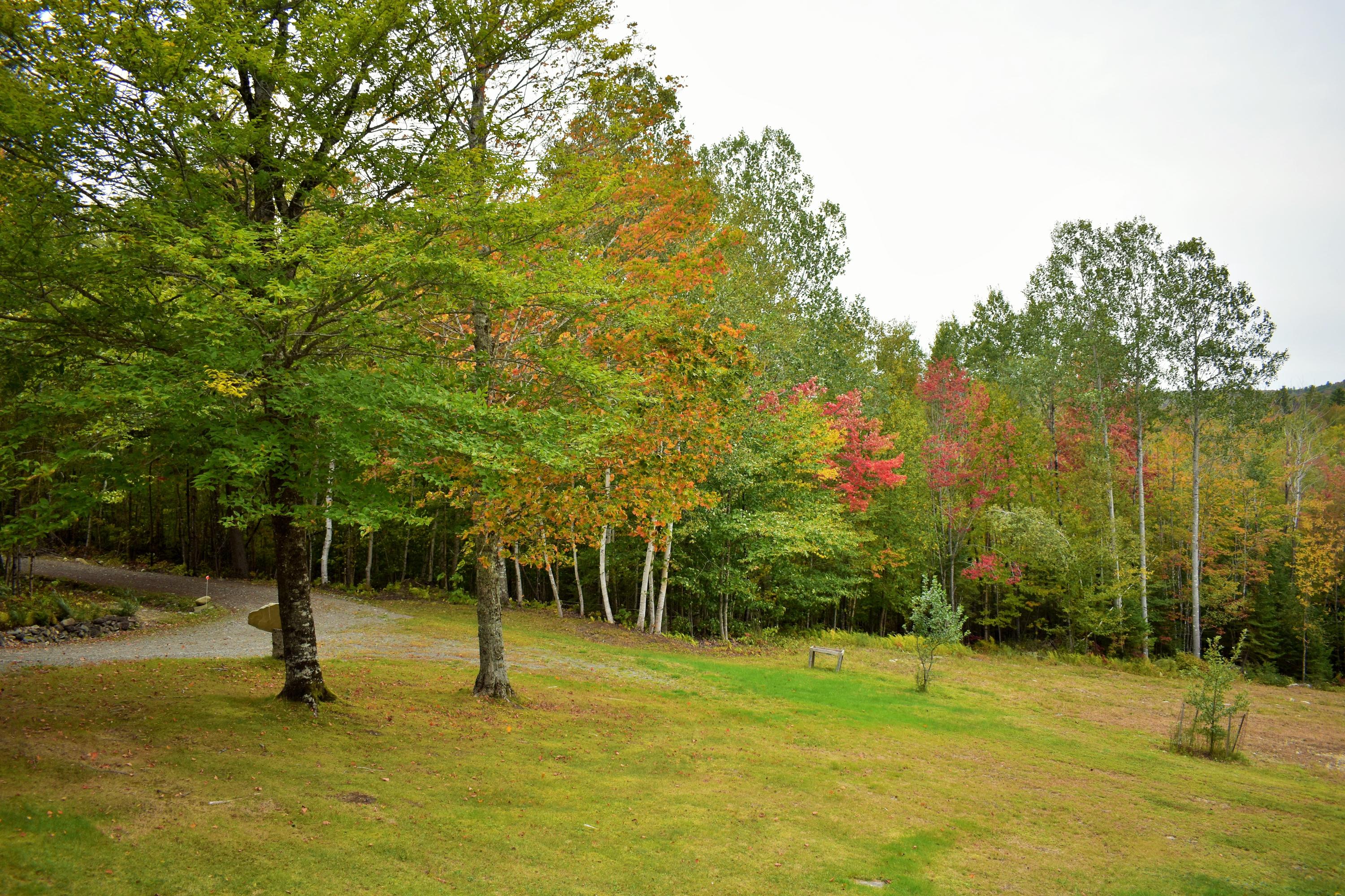 216 Bean Corner Road Harmony, ME 04942 - Photo 37 of 47 35