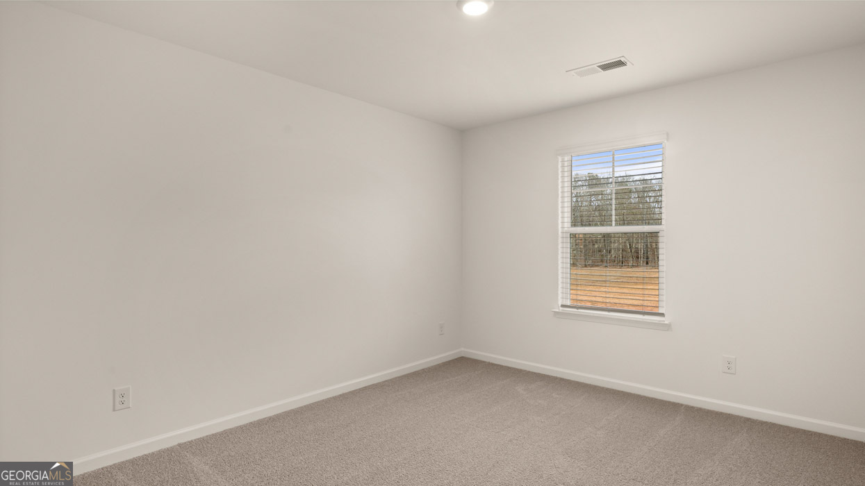 1783 Goodwin Drive Hampton, GA 30228 - Photo 43 of 61