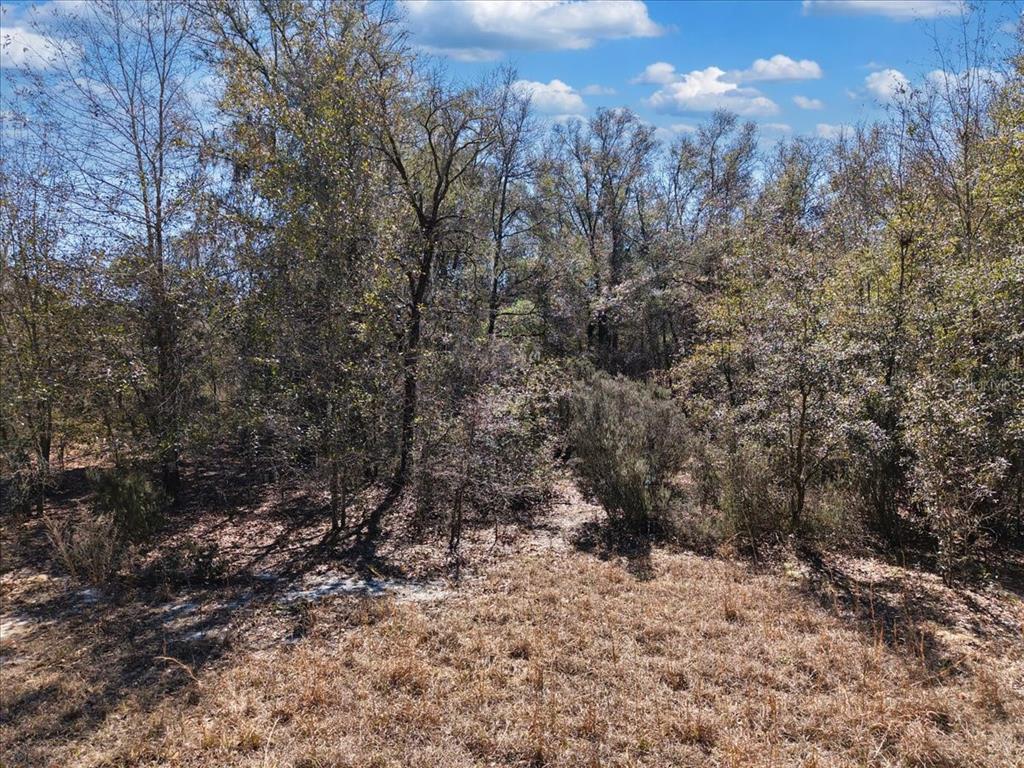 126th Street Bronson, FL 32621 - Photo 14 of 17