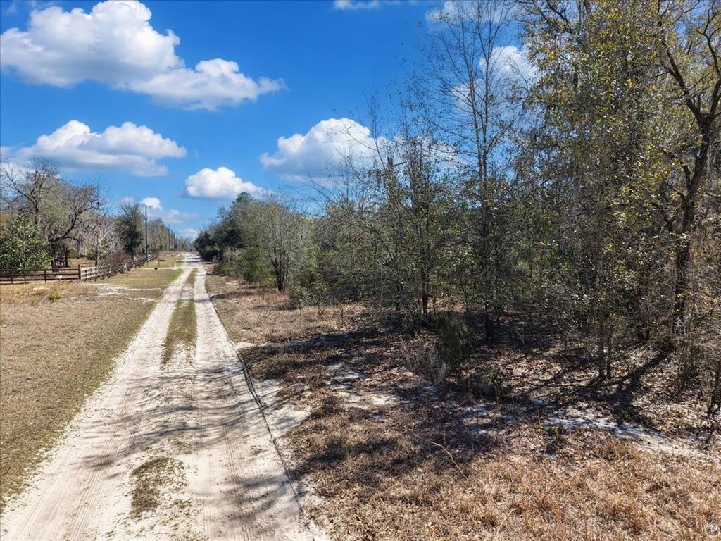 126th Street Bronson, FL 32621 - Photo 15 of 17