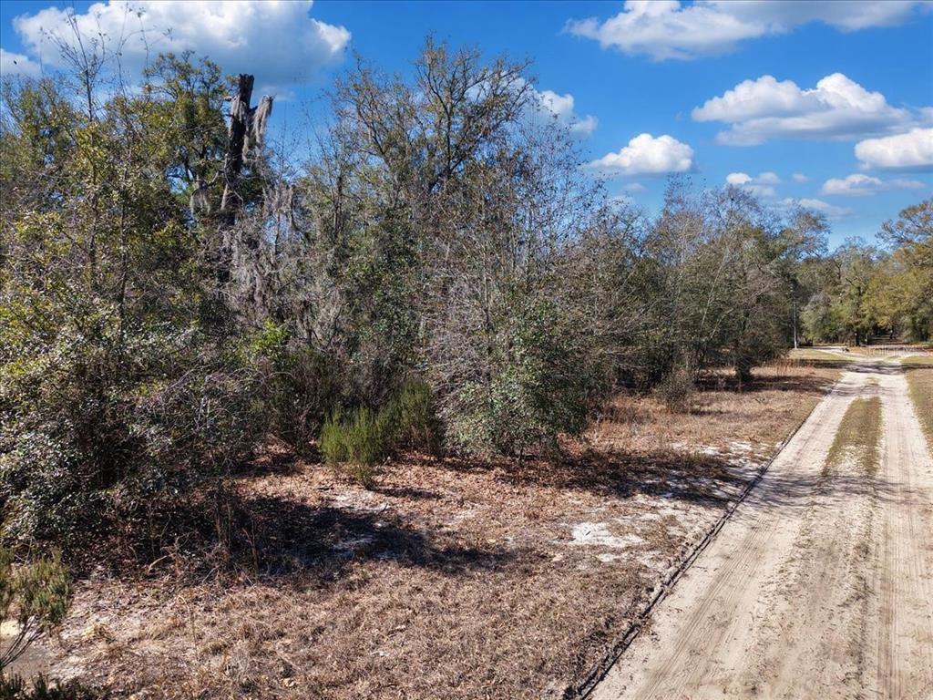126th Street Bronson, FL 32621 - Photo 16 of 17