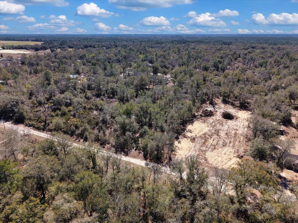 126th Street Bronson, FL 32621 - Photo 5 of 17