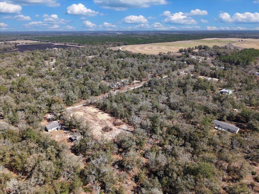 126th Street Bronson, FL 32621 - Photo 8 of 17