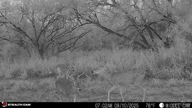 $450,000 | 652 Cr 307 Encino Tx 78353, Encino, TX 78353