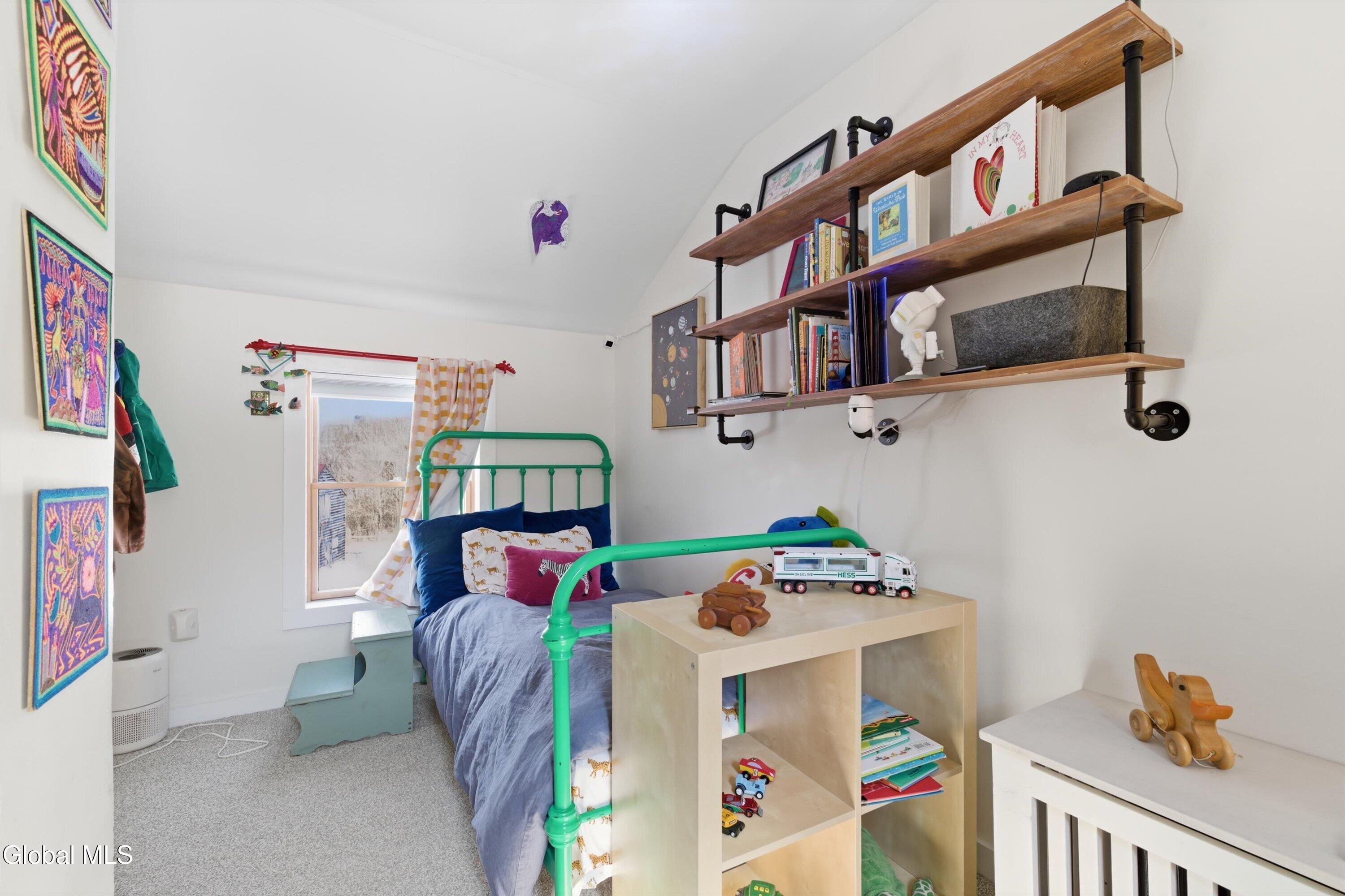 187 East Shore Road Delanson, NY 12053 - Photo 43 of 54 37-187 East Shore Rd-37