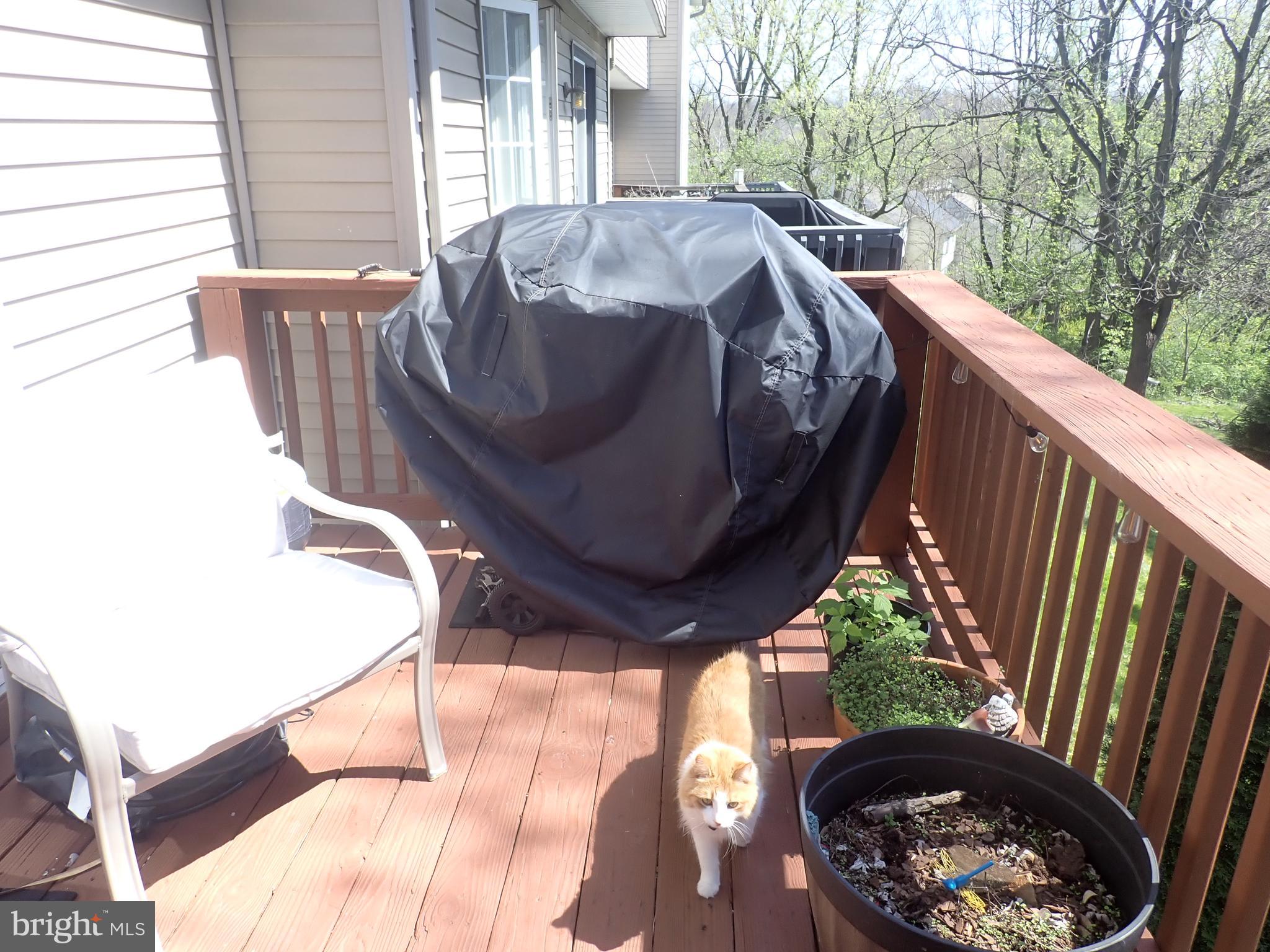 16 Cold Stream Drive Lancaster, PA 17603 - Photo 10 of 23 a view of balcony with furniture