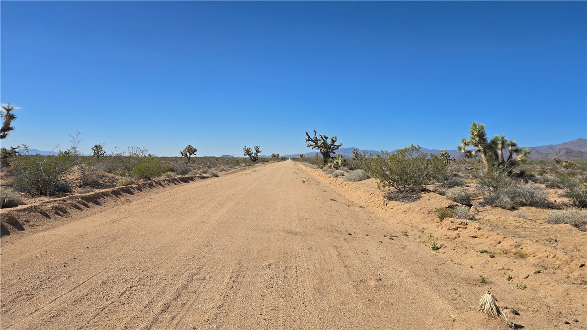 223-30-009 South Sundance Kid Road Yucca, AZ 86438 - Photo 8 of 13