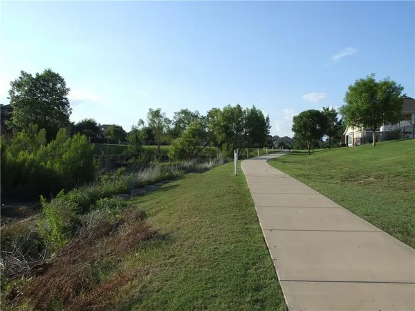 a view of a park with large trees