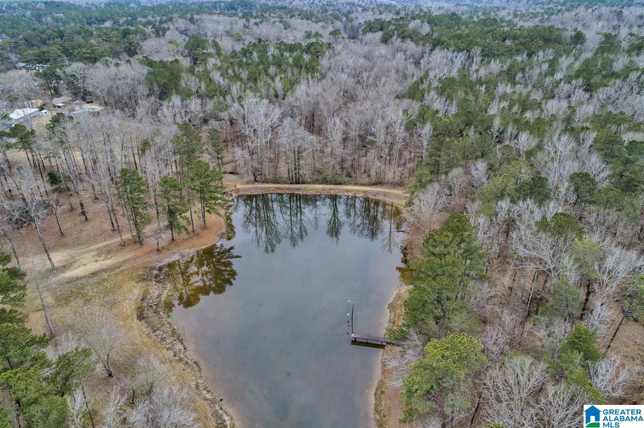 5125 Forestwood Road Adamsville, AL 35005 - Photo 31 of 42