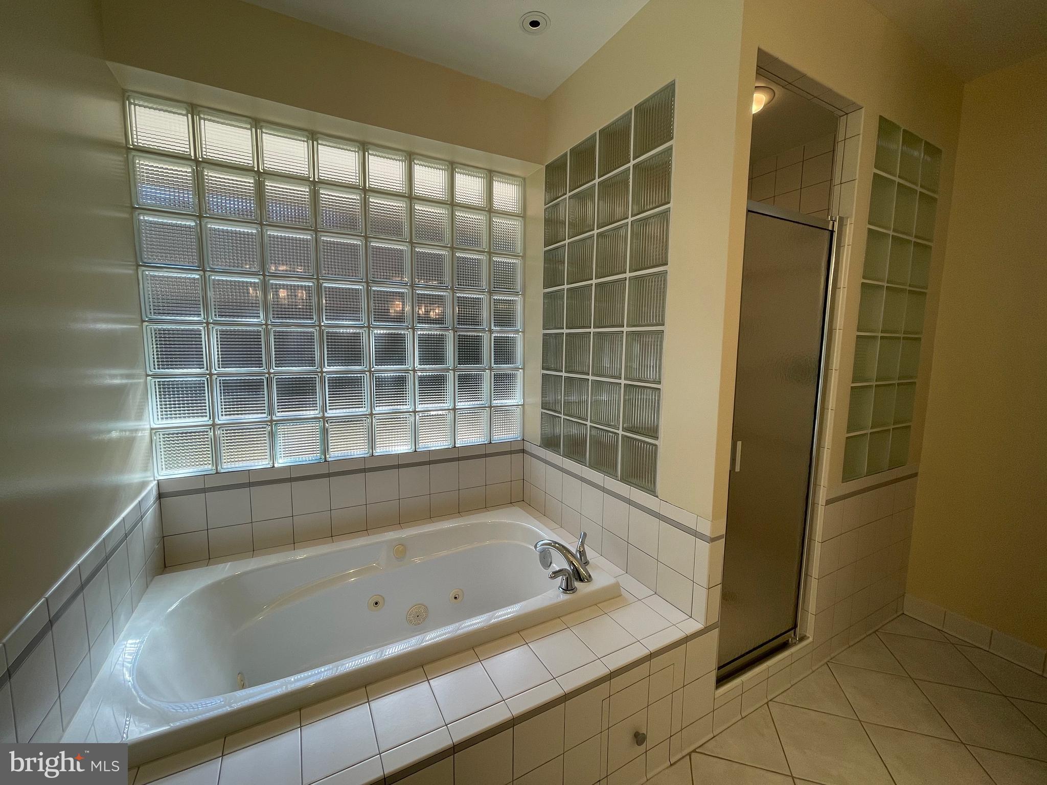 4119 North Ridgeview Road McLean, VA 22101 - Photo 26 of 56 Glamorous glass block lights soaking tub.