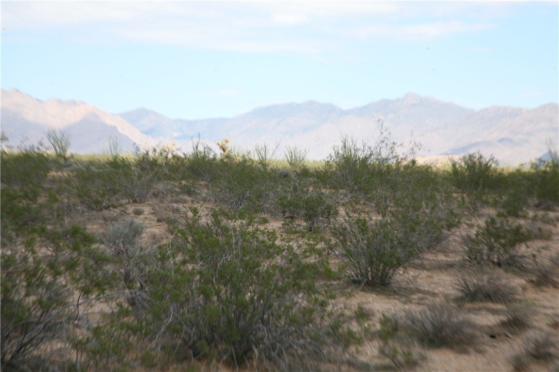 243-15-016 South Custer Road, Unit 3491 Yucca, AZ 86438 - Photo 54 of 61 Gallery Image 54
