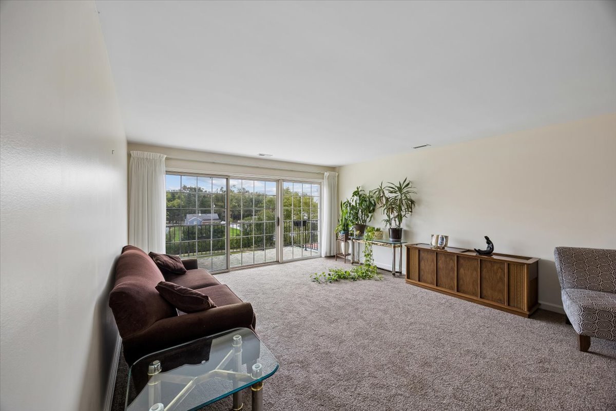 3427 Vollmer Road, Unit 303 Flossmoor, IL 60422 - Photo 9 of 21 Gallery Image 9