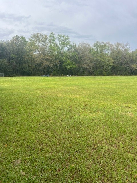 0 Nola Road Blackshear, GA 31516 - Photo 5 of 5