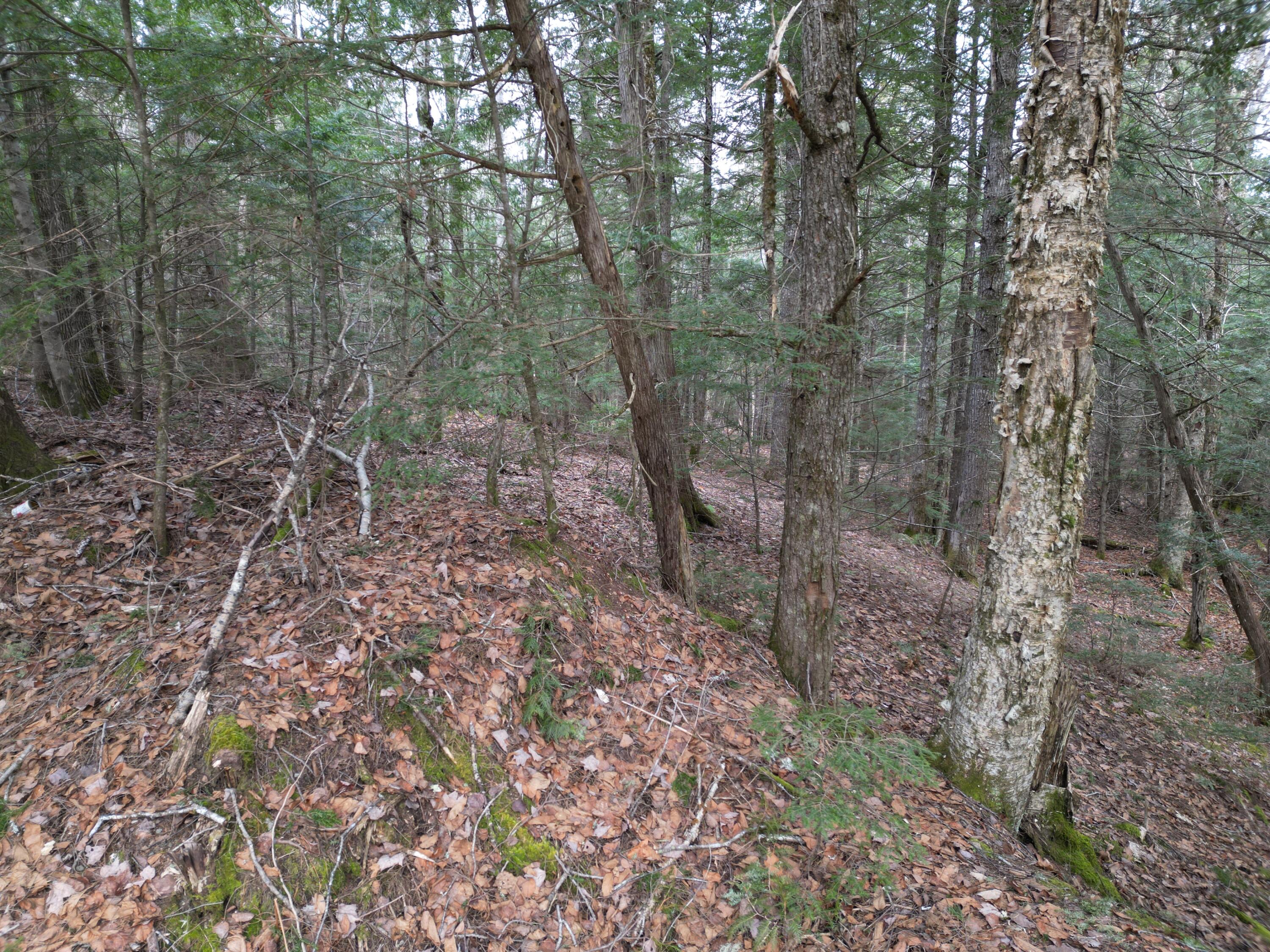 Lot 11 North Road Lee, ME 04455 - Photo 11 of 21 DJI_0984