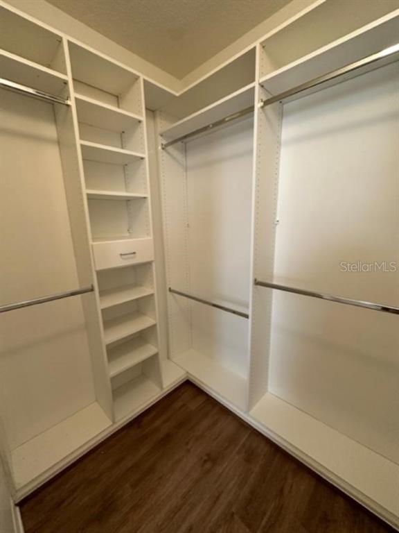 1005 Wiregrass Street Celebration, FL 34747 - Photo 19 of 31 a view of walk in closet with empty racks