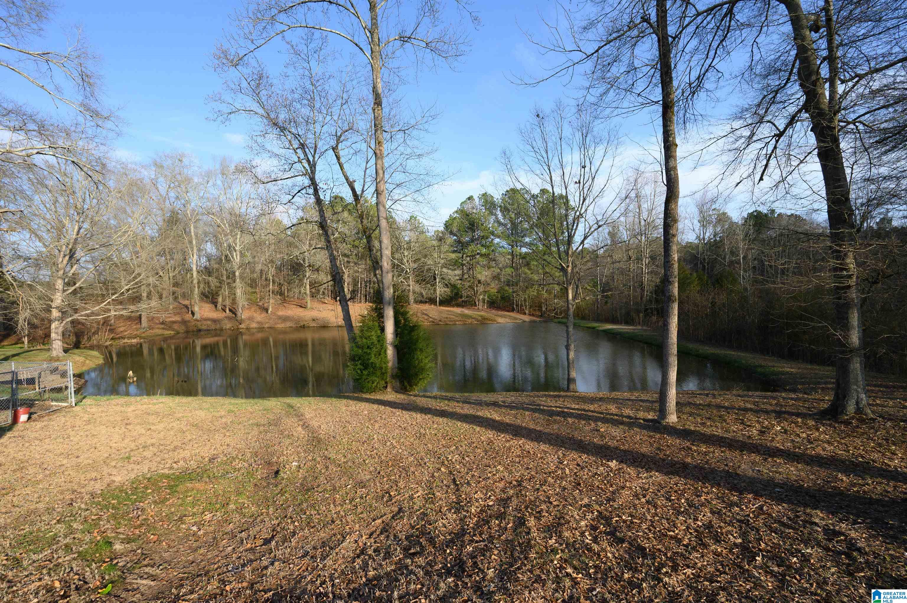 1330 Joy Road Hayden, AL 35079 - Photo 69 of 87