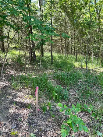 $250,000 | 5157 South S Highway, Hernando, MS 38632