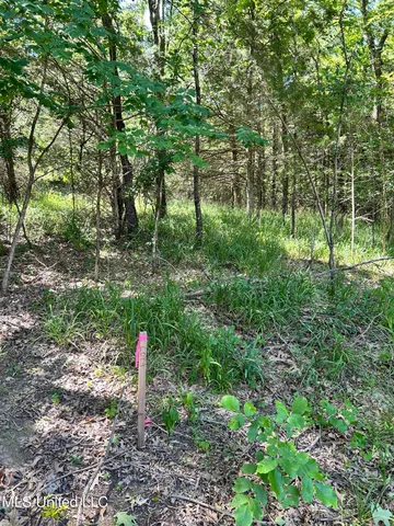 $260,000 | 5157 South S Highway, Hernando, MS 38632