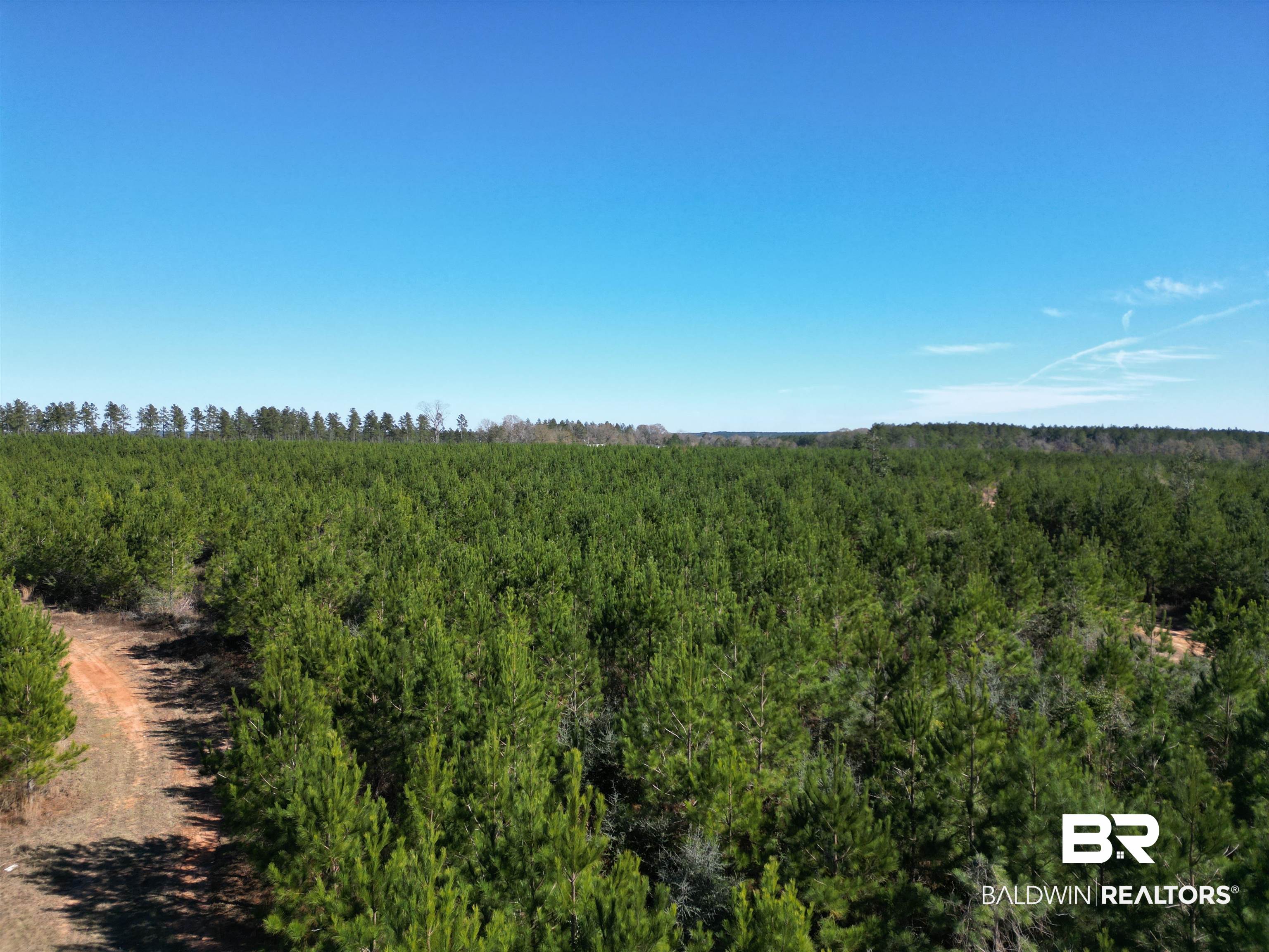 Lot 4 Robinsonville Road Atmore, AL 36502 - Photo 14 of 18