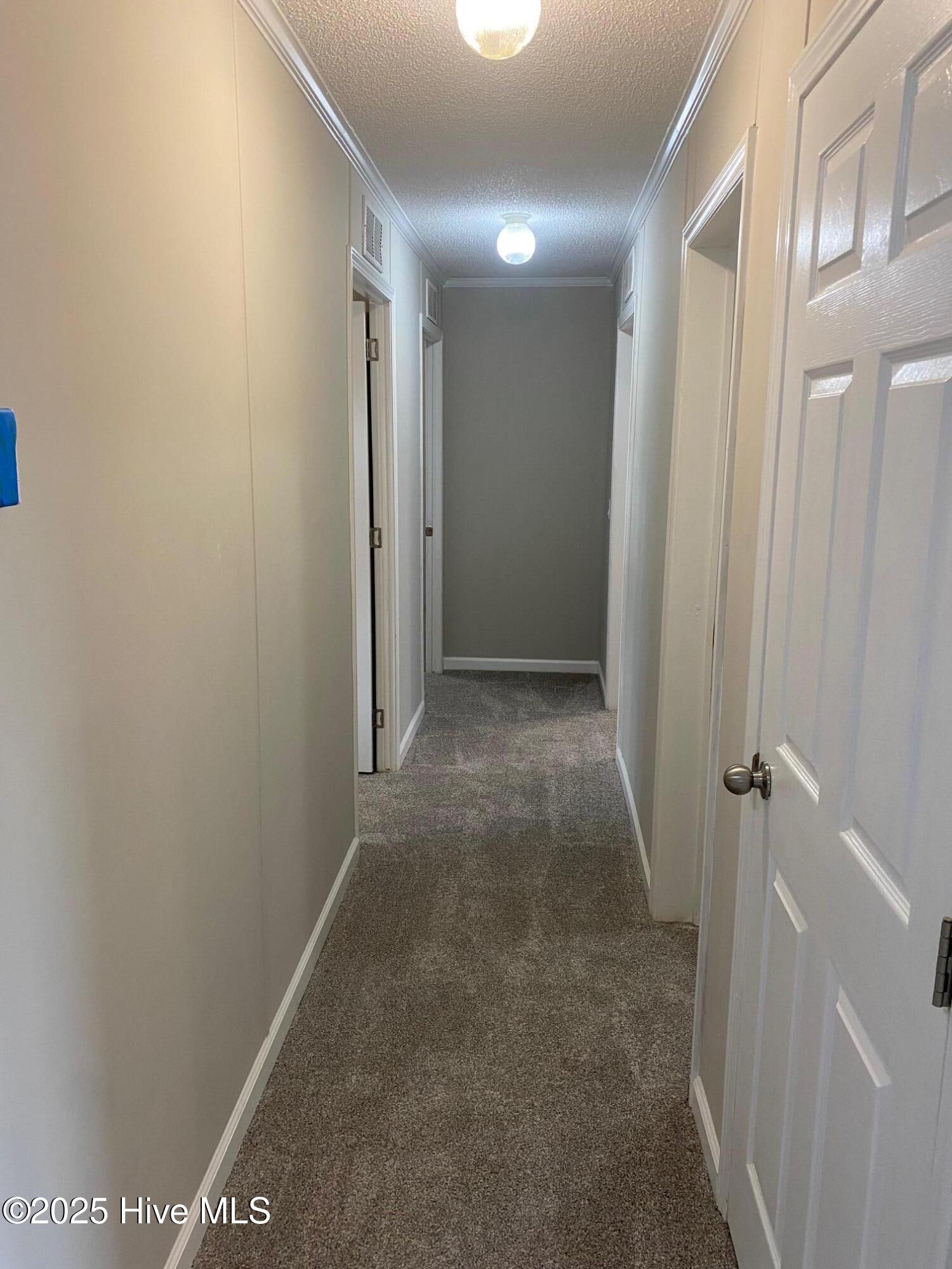 4296 Liddell Road Seven Springs, NC 28578 - Photo 18 of 27 Hallway