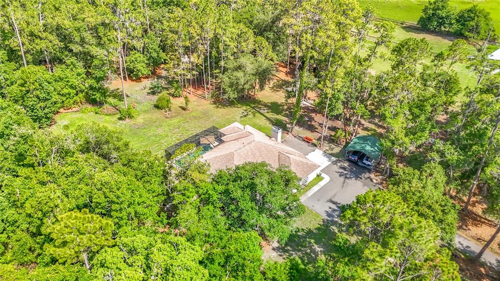 8338 Handcart Road Dade City, FL 33525 - Photo 28 of 96