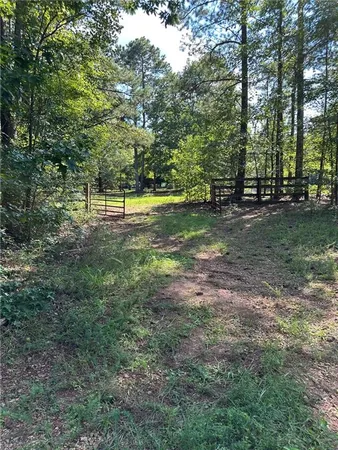a view of a yard with a tree