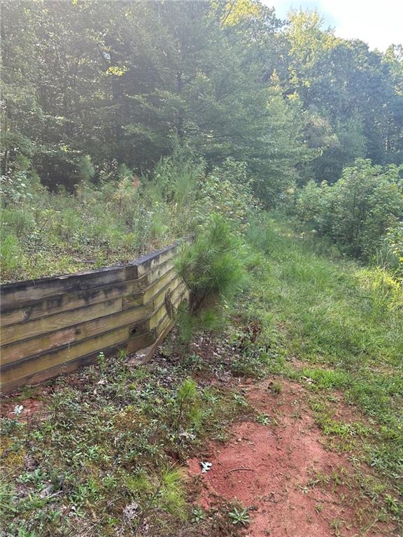 0 Fears Road Madison, GA 30650 - Photo 12 of 14 a backyard of a house